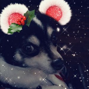 Meet your Posher, Christina